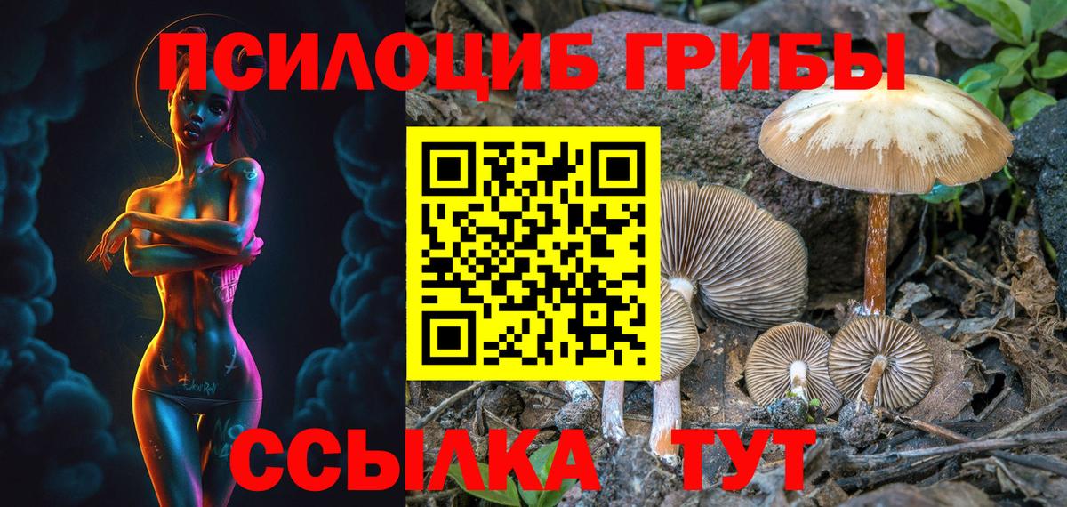 Псилоцибиновые грибы прущие грибы  Вход с VPN  Удомля 