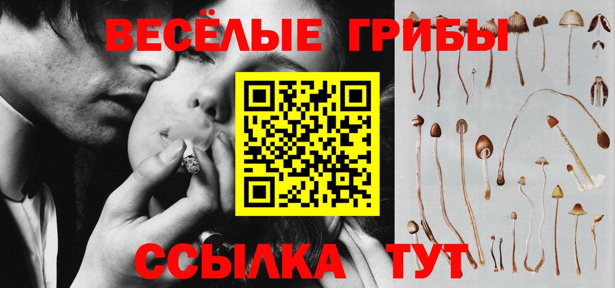 Псилоцибиновые грибы GOLDEN TEACHER Удомля